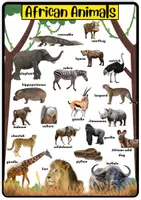 Vorschau - Spiele - I have ... Who has ...? AFRICAN ANIMALS - Spiel und Merkblatt - Seite 2