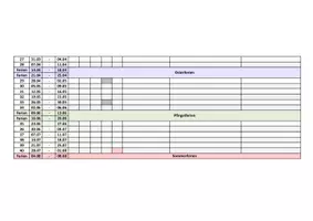 Vorschau - Lehrpläne/Lehrermaterial - Stoffverteilungsplan/Jahresplan für das Schuljahr 2024/2025 Baden-Württemberg - Seite 3