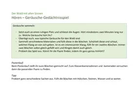 Vorschau - Stationenlernen - Der Wald mit allen Sinnen: Postenlauf für den Wald - Seite 2