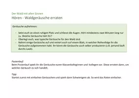 Vorschau - Stationenlernen - Der Wald mit allen Sinnen: Postenlauf für den Wald - Seite 3