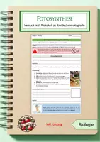 Vorschau - Arbeitsblätter - Materialpaket: Fotosynthese - Seite 1