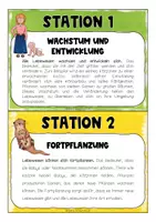 Vorschau - Arbeitsblätter - Lernzirkel zu den Kennzeichen der Lebewesen - Seite 3