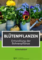 Vorschau - Arbeitsblätter - Sparpaket Fortpflanzung bei Pflanzen - Seite 1