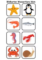 Vorschau - Arbeitsblätter - kleine Bildkarten Tiere im Wasser - DaZ/DaF, Deutsch (Grundschule) - Seite 2