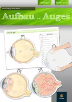 Vorschau - Mal- und Bastelvorlagen - Auge (Aufbau und Struktur) - Bastelvorlage | Biologie Klasse 9/10 - Deckblatt