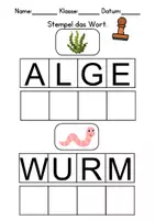 Vorschau - Arbeitsblätter - Tiere im Wasser Wörter stempeln - DaZ/DaF, Deutsch (Grundschule) - Seite 1