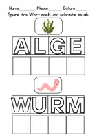 Vorschau - Arbeitsblätter - Wörter nachspuren und schreiben Tiere im Wasser - DaZ/DaF/Deutsch - Seite 1