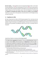 Vorschau - Unterrichtsreihen - Biologie: Kapitel Zellbiologie 2 (Zellkern, DNA und Mitose) - Seite 2