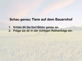 Vorschau - Arbeitsblätter - Schau genau Bauernhof - Seite 1