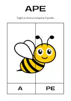 anteprima - Esercizi - DIVISIONE IN SILLABE CON IMMAGINI - Pagina 2