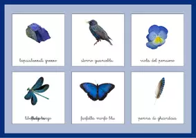 anteprima - Materiale di supporto/inclusione - Tombola del blu SpazioMontessori - Pagina 1