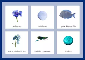 anteprima - Materiale di supporto/inclusione - Tombola del blu SpazioMontessori - Pagina 2