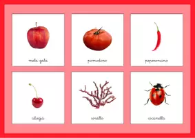 anteprima - Esercizi - Tombola del rosso SpazioMontessori - Pagina 2