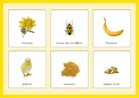 anteprima - Esercizi - tombola del giallo SpazioMontessori - Pagina 2