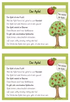 Vorschau - Text - 1./2.Klasse: Wissenskartei mit Infokarten zum Apfel - Seite 2