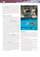 Vorschau - Stundenentwürfe - Die Paralympischen Sommerspiele in Paris: Diskriminierung unter dem Deckmantel der Inklusion? - Seite 1