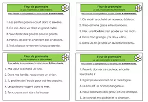 Aperçu - Tests - Fleurs d'orthographe validation - Page 3