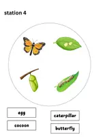 Vorschau - Arbeitsblätter - Lapbook passend zu "The very hungry Caterpillar" - Seite 3