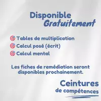 Aperçu - Feuilles d'exercices - Ceintures - Calcul posé / écrit - Page 3