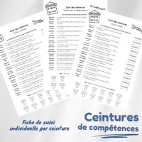 Aperçu - Feuilles d'exercices - Ceintures - Calcul posé / écrit - Page 2