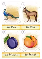 Vorschau - Arbeitsblätter - AnybookPro Material: Rätsel-Schreib-Spaziergang "PF" - Seite 3