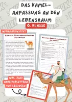 Vorschau - Arbeitsblätter - Das Kamel- Anpassung an den Lebensraum, Biologie, 6. Klasse | Unterrichtsreihe "Tierische Anpassungen" - Deckblatt