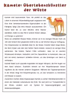 Vorschau - Arbeitsblätter - Das Kamel- Anpassung an den Lebensraum, Biologie, 6. Klasse | Unterrichtsreihe "Tierische Anpassungen" - Seite 3