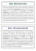 Vorschau - Arbeitsblätter - Winterschlaf, Winterruhe und Winterstarre | Biologie, 6. Klasse | Unterrichtsreihe "Tierische Anpassungen" - Seite 3