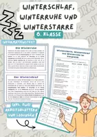 Vorschau - Arbeitsblätter - Tierische Anpassungen- Materialpaket Biologie, 6. Klasse - Seite 1