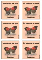 Vorschau - Anderer Materialtyp - Begrüßungs-/Willkommenskarten - neues Schuljahr 🦋 - Seite 1