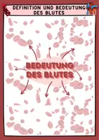 Vorschau - Unterrichtsreihen - Materialpaket Blut und Blutkreislauf ; Körperkreislauf ; Lungenkreislauf ; Herz ; Blutgerinnung ; Blutspende mit Lösung (Klasse 8 9 10 11) - Seite 3