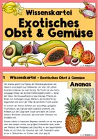 Vorschau - Stationenlernen - Wissenskartei - Exotisches Obst und Gemüse - Seite 1