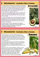 Vorschau - Stationenlernen - Wissenskartei - Exotisches Obst und Gemüse - Seite 2