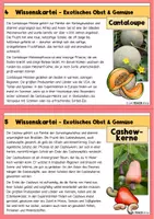 Vorschau - Stationenlernen - Wissenskartei - Exotisches Obst und Gemüse - Seite 3