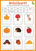 Vorschau - Arbeitsblätter - Hallo Herbst Aktivitätenheft 🍂🎃 - Seite 2