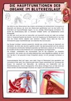 Vorschau - Arbeitsblätter - Blut - Blutkreislauf - Reihenfolge der Organversorgung - Hauptfunktionen der Organe mit Lösung (Klasse 8 9 10 11) - Deckblatt