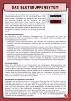 Vorschau - Arbeitsblätter - Blut -Funktion des Blutes ; Blutgruppensystem ; Blutgruppen und Rhesusfaktor mit Lösung (Klasse 8 9 10 11) - Seite 2