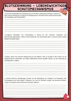Vorschau - Arbeitsblätter - Blut - Blutgerinnung - lebenswichtiger Schutzmechanismus mit Lösung (Klasse 8 9 10 11) - Seite 2