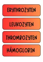 Vorschau - Poster - Blut - Bildkarten und Begriffkarten für Tafelbilder und Diskussionen etc (Klasse 8 9 10 11) - Deckblatt