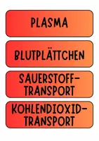 Vorschau - Poster - Blut - Bildkarten und Begriffkarten für Tafelbilder und Diskussionen etc (Klasse 8 9 10 11) - Seite 1