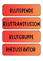 Vorschau - Poster - Blut - Bildkarten und Begriffkarten für Tafelbilder und Diskussionen etc (Klasse 8 9 10 11) - Seite 2