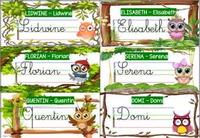 Aperçu - Autre type de ressources - Étiquettes prénoms - chouettes - Page de couverture