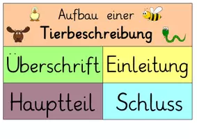 Vorschau - Präsentationen/Tafelbilder - Aufsatz & Schreiben: Tafelmaterial Tierbeschreibung (Struktur & Satzanfänge) - Deutsch - Kl. 3/4 - Seite 2