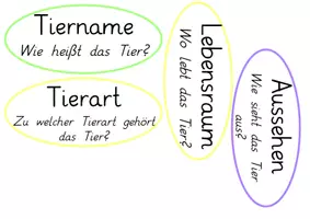Vorschau - Präsentationen/Tafelbilder - Aufsatz & Schreiben: Tafelmaterial Tierbeschreibung (Struktur & Satzanfänge) - Deutsch - Kl. 3/4 - Seite 3