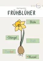 Vorschau - Präsentationen/Tafelbilder - Frühblüher: Wortspeicher Aufbau - Deckblatt
