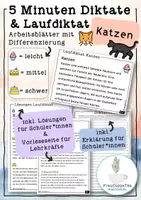 Vorschau - Arbeitsblätter - 5 Minuten Diktate und Laufdiktate "Katzen" mit Differenzierung #47 - Deckblatt