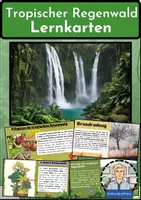 Vorschau - Merkblätter - TROPISCHER REGENWALD: Lernkarten zu den Tropen - Erdkunde für die Sek 1 - Deckblatt