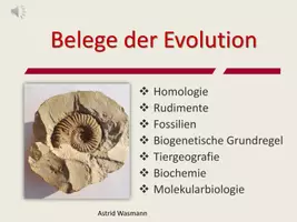 Vorschau - Arbeitsblätter - Belege der Evolution zum Selbstlernen - Seite 1