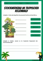 Vorschau - Arbeitsblätter - TROPISCHER REGENWALD: Arbeitsblätter und Übungsaufgaben zum Thema tropischer Regenwald - Erdkunde für die Sek 1 - Seite 2