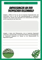 Vorschau - Arbeitsblätter - Tropischer Regenwald - Anpassung von Pflanzen und Tieren - Arbeitsblatt mit Lösungen - Erdkunde Klasse 7 und 8 - Deckblatt
